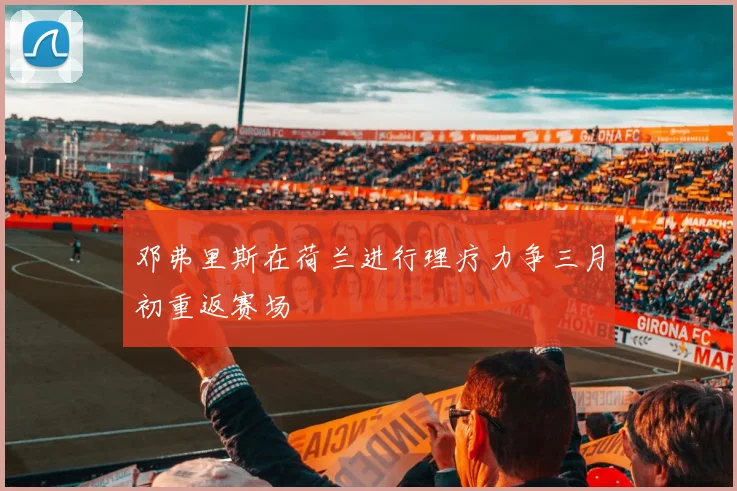 邓弗里斯在荷兰进行理疗力争三月初重返赛场