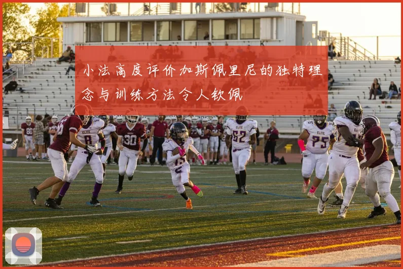 小法高度评价加斯佩里尼的独特理念与训练方法令人钦佩