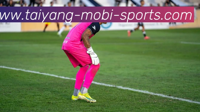 太阳城APP 高清赛事图